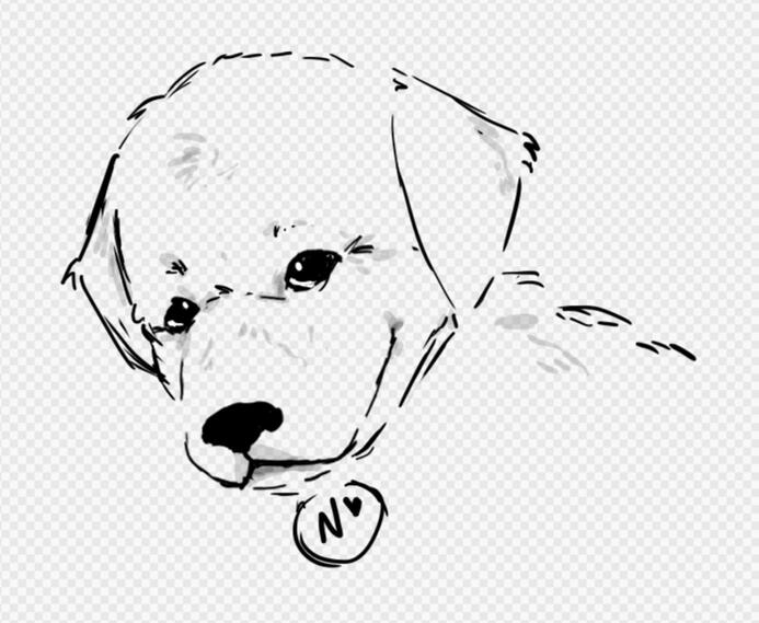 Nani (Teri's dog)